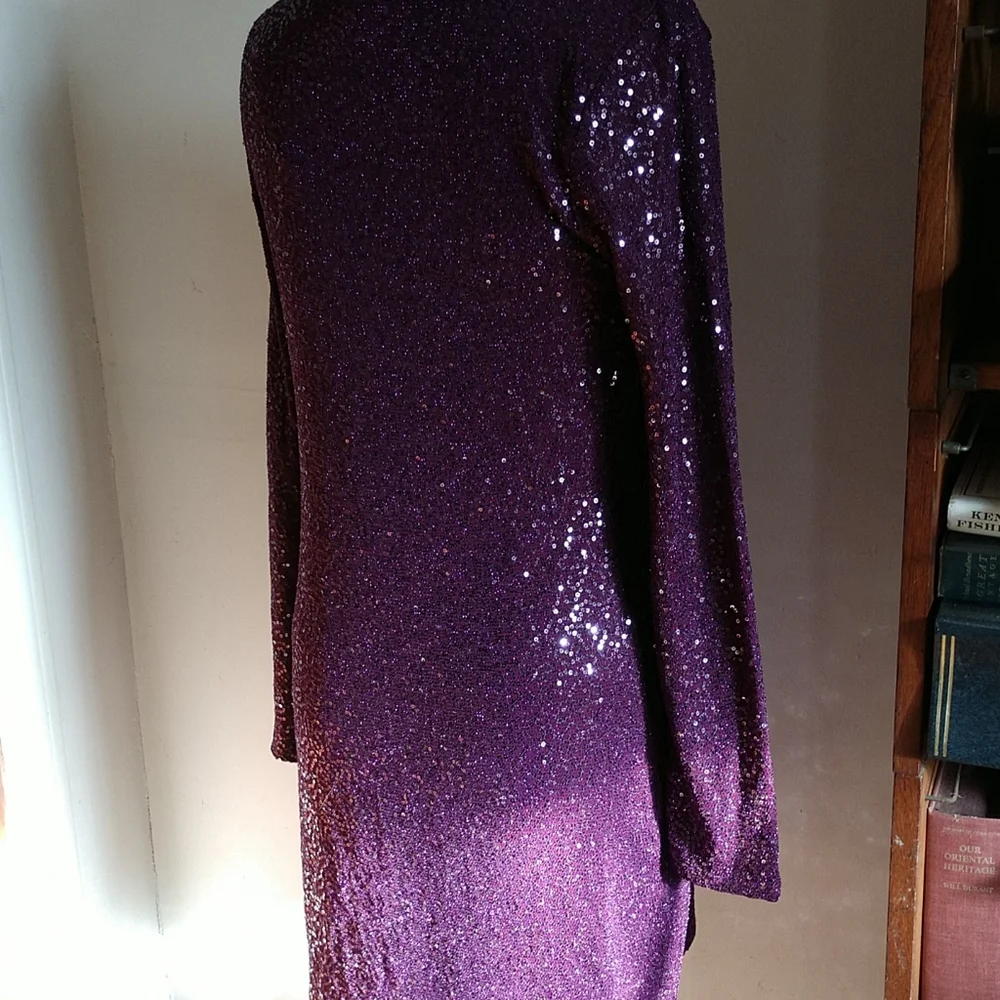 CHRISTMAS #18 NWT EXPRESS LS Glittery Grape Sequined Sheath Dress NWT - Picture 4 of 8